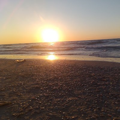 mezzoAli1's profile picture. محب الحقائق