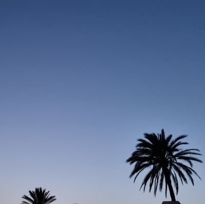 mahe06's profile picture. 