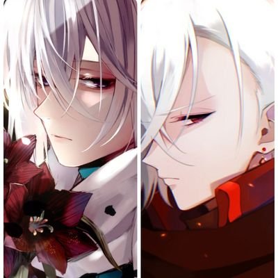 Nova/Vellさんのプロフィール画像