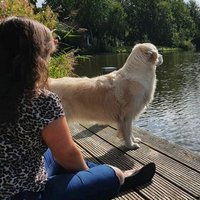 C. (@soychantal) 's Twitter Profile