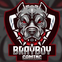 BrayboyGaming on twitch (@brayboygaming) 's Twitter Profile Photo