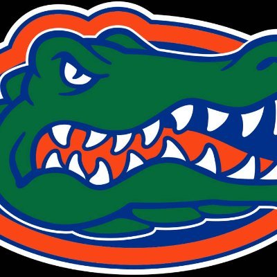 Practical Conservative, 2A supporter, 1A believer. Full-time Husband & Father. Real Estate & Crypto Investor. UF Grad 🐊 FL Native! 🐬 The beach is my peace!