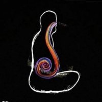 Incidental Findings (@incidental_find) 's Twitter Profile