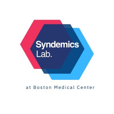 The Syndemics Lab Profile