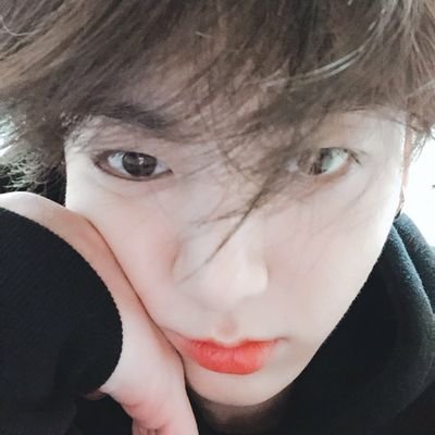 fiImsjeon Profile Picture