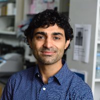 Reza Kalhor(@kalhorlab) 's Twitter Profile Photo