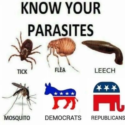 A person who is looking to change the US for the better, after watching both the DNC and GOP screw it up for years. #independents4independence