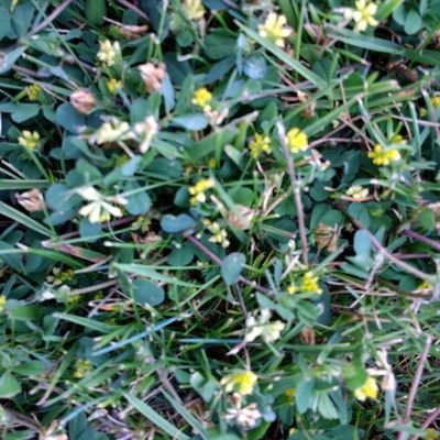 Helprequired1's profile picture. ex Human being