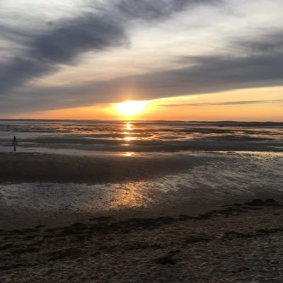 mowglhi33's profile picture. 