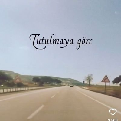 Ali25185005's profile picture. 