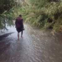 Eng◇Abu Firas (@ghallab2014gma2) 's Twitter Profile