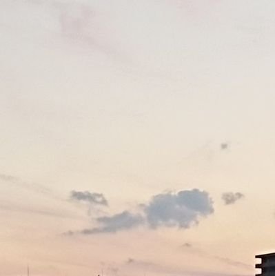 turu569711's profile picture. 20↑ 趣味垢。かわいくてかっこいいが最高ってこと。平成アニメ追いがち大好きがち。最近🌈🕒も見てる。「歪みくらい絵にも出ますよ。人間ですもの」と思いながらラクガキしてる。作品を楽しむ余裕を少しずつ取り戻す。無言フォロー失礼します。