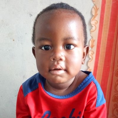 PCele60's profile picture. 