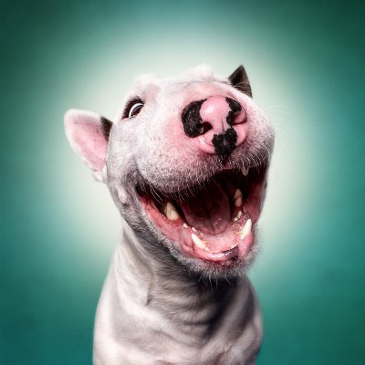 _Hadiadit's profile picture. Bourgeois Lives Matter