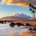 Tweets only Hawai'i people understand (@hawaiitings) Twitter profile photo Tweets only Hawai'i people understand (@hawaiitings) Twitter profile photo