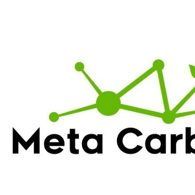 We build Carbon Offset backed NFTs to support the environment and endangered species.