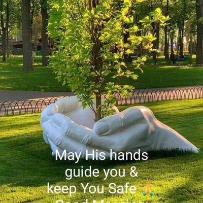 Elsie53251144's profile picture. my smile