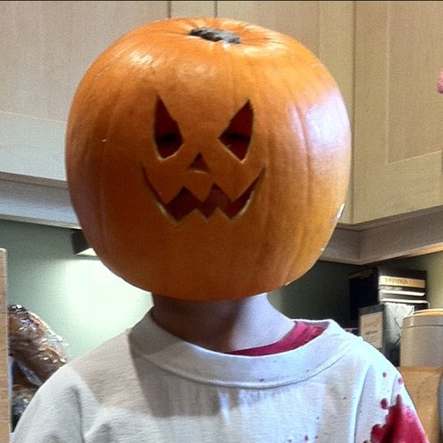 DoogieFox's profile picture. 