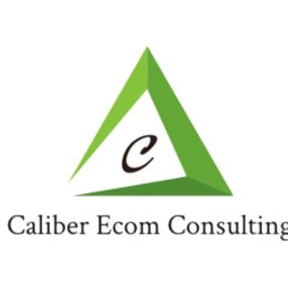 Caliber Ecom Consulting