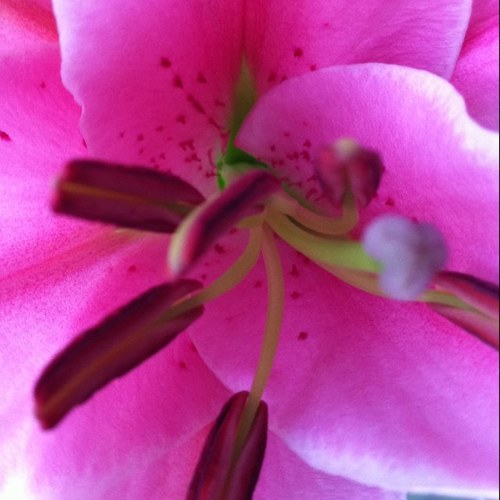 briggy1313's profile picture. 