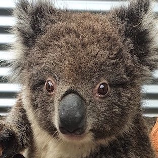 murdochjay's profile picture. Who, what, where, when and how.