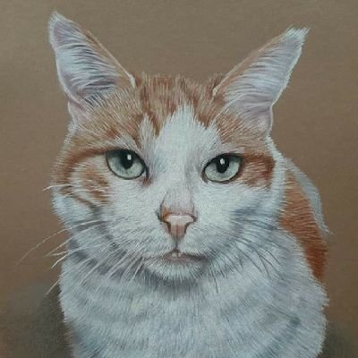 Art, animals and motorsport. What else do you need in life? Earth without art ist just eh?Identifies as human.
