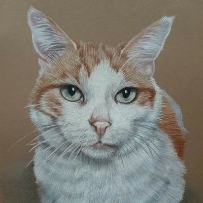 Art, animals and motorsport. What else do you need in life? Earth without art ist just eh?Identifies as human. https://t.co/CqbR67rLYu