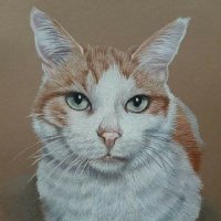 Julie (@juliehartist) 's Twitter Profile