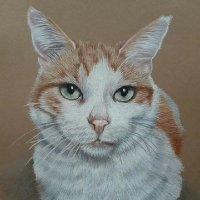 Julie of Paintpaws 🎨🧡(@juliehartist) 's Twitter Profile Photo