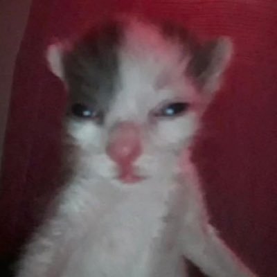 EdwinIsrael1234's profile picture. lol