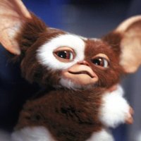 Gizmo (@gizmo_torii) 's Twitter Profile