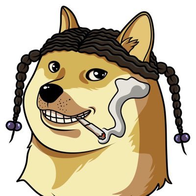 Snoop Doge