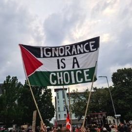 HaiderPervaiz3's profile picture. 