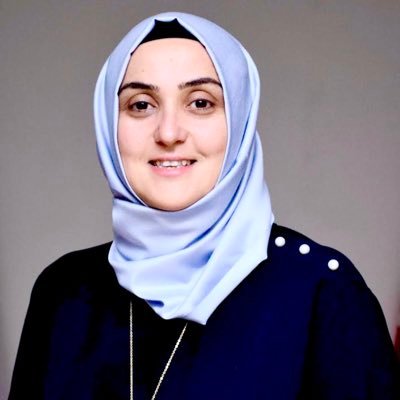 AK Parti Genel Merkez MKYK Üyesi (Y.Mimar),Kültür ve Sanat Politikaları Başkan yardımcısı