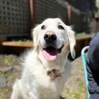 Luigi Rosso (@luigirosso) 's Twitter Profile