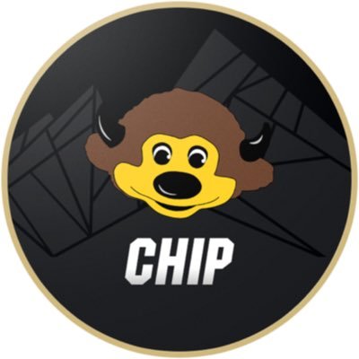 Chip the Buffalo