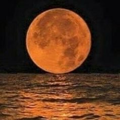 FlaviaaSoaress_'s profile picture. Never give up your dreams !!! ❤❤