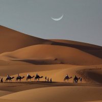 لأ (@__ile) 's Twitter Profile Photo