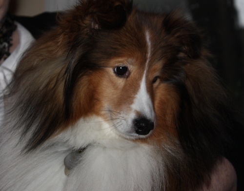 Suanne St. Charles Profile