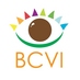BCVI Belize (@BCVIBelize) Twitter profile photo