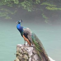 تعزي ساكن صنعا (@bue7bnx3zlppfgh) Twitter profile photo