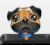 DeepstackChopra's profile picture. One Day (of Doncaments) at a time.