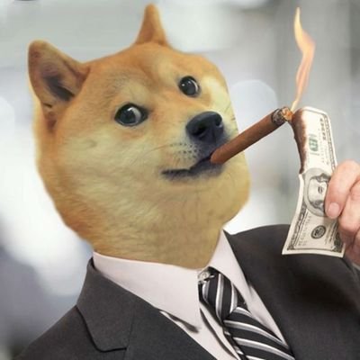 #Dogecoin #Dogearmy #DiamondHands #DoOnlyGoodEveryday thats it thats all nothing more nothin less #DogeToTheMoon
DCbVmj8ohGTfR3nqV6A9CcYgDzyDMoUsYr