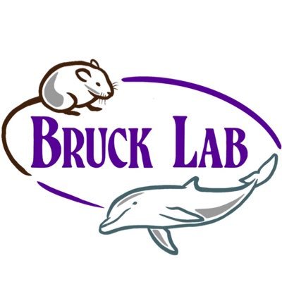 The official Twitter account of the Brucklab @SFASU. Research on animal communication, cognition, wellbeing and sensory biology. Ideas are our own.