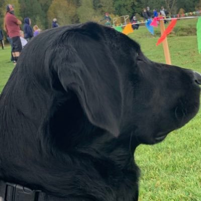 mathmaniackris's profile picture.