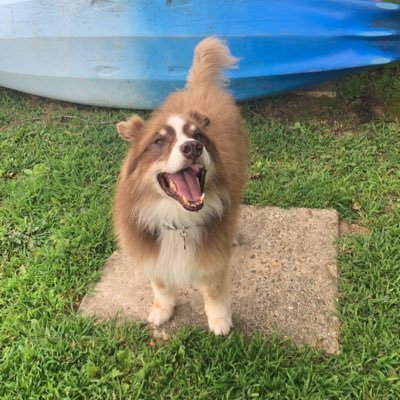 Albertmcv's profile picture. 🏎