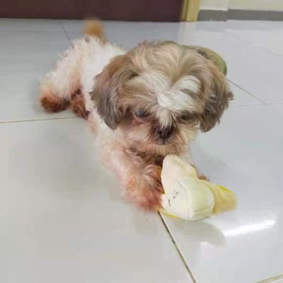 DaryllWan's profile picture. humble life, make it easy life