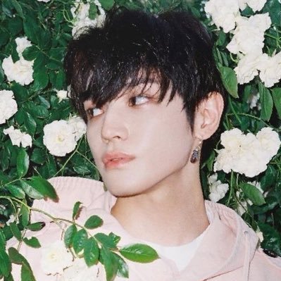 @taeyongpictures backup 🌹 instagram: taeoxo_nct | tiktok: tik_tyong | yt: taeyong #TAEYONG #태용 #テヨン