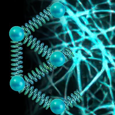 Mechanics of cell behavior, Morphogenesis, Motility, Migration, Invasion, Tension, Forces, Cytoskeleton, Cell wall - Research, Positions, Postdocs