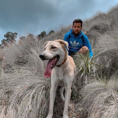LaloGon485's profile picture. 